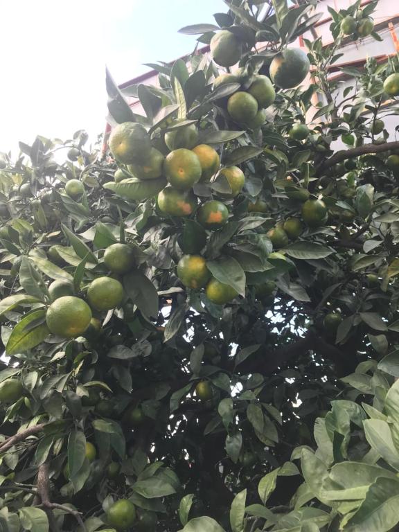 Senima's paradise room 2