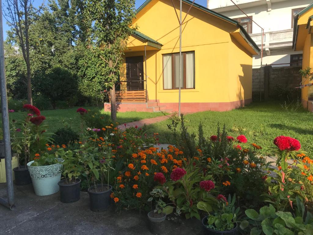 Senima's paradise room 4