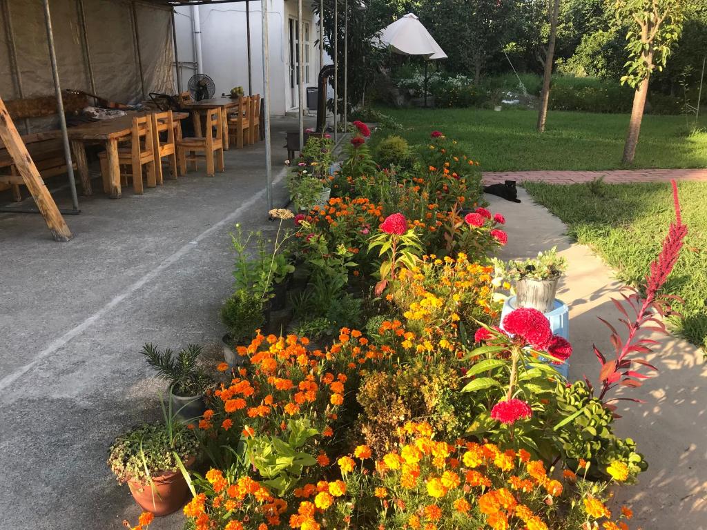 Senima's paradise room 6